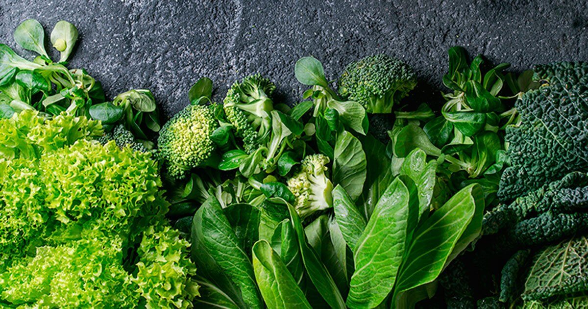 How Chlorophyll Protects Cells How Chlorophyll Protects Cells