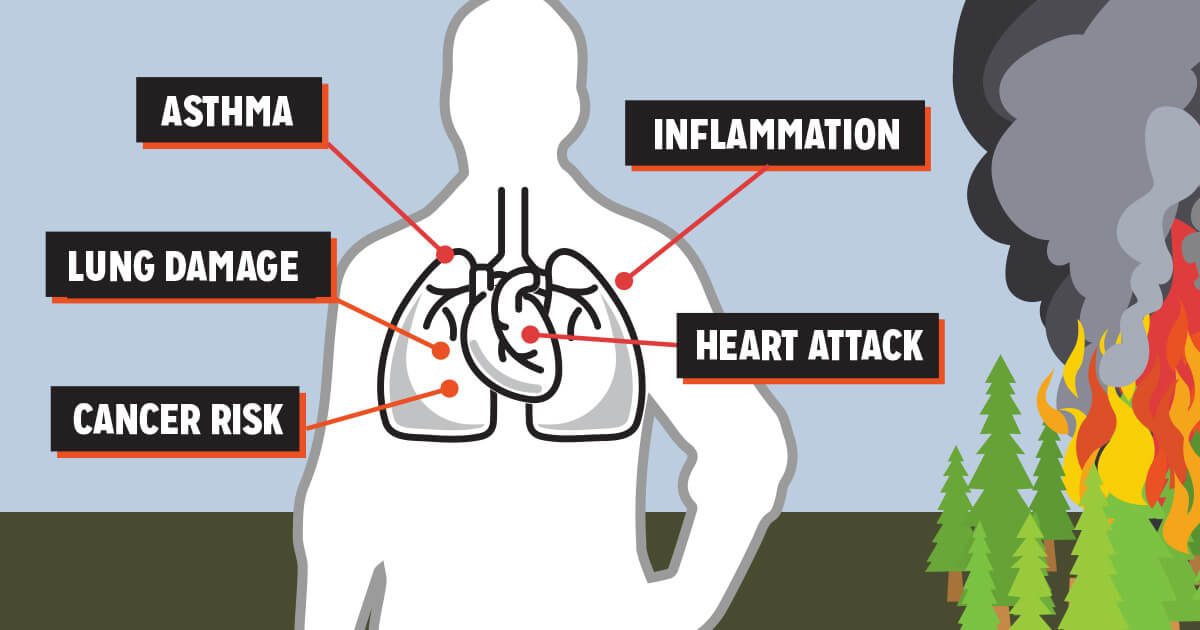 5 Disturbing Dangers of Wildfire Smoke 5 Disturbing Dangers of Wildfire Smoke